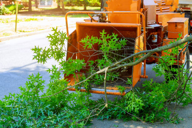  Forney, TX Tree Services Pros