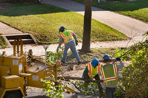 Best Lawn Irrigation Installation and Maintenance  in Forney, TX